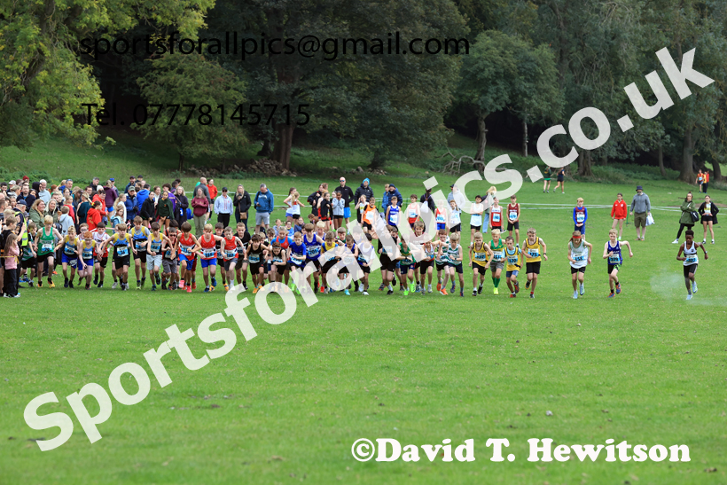 Boys Under-13s 2025 Start Fitness NEHL, Thornley Hall Farm, Peterlee, County Durham. Photo: David T. Hewitson/Sports for All Pics